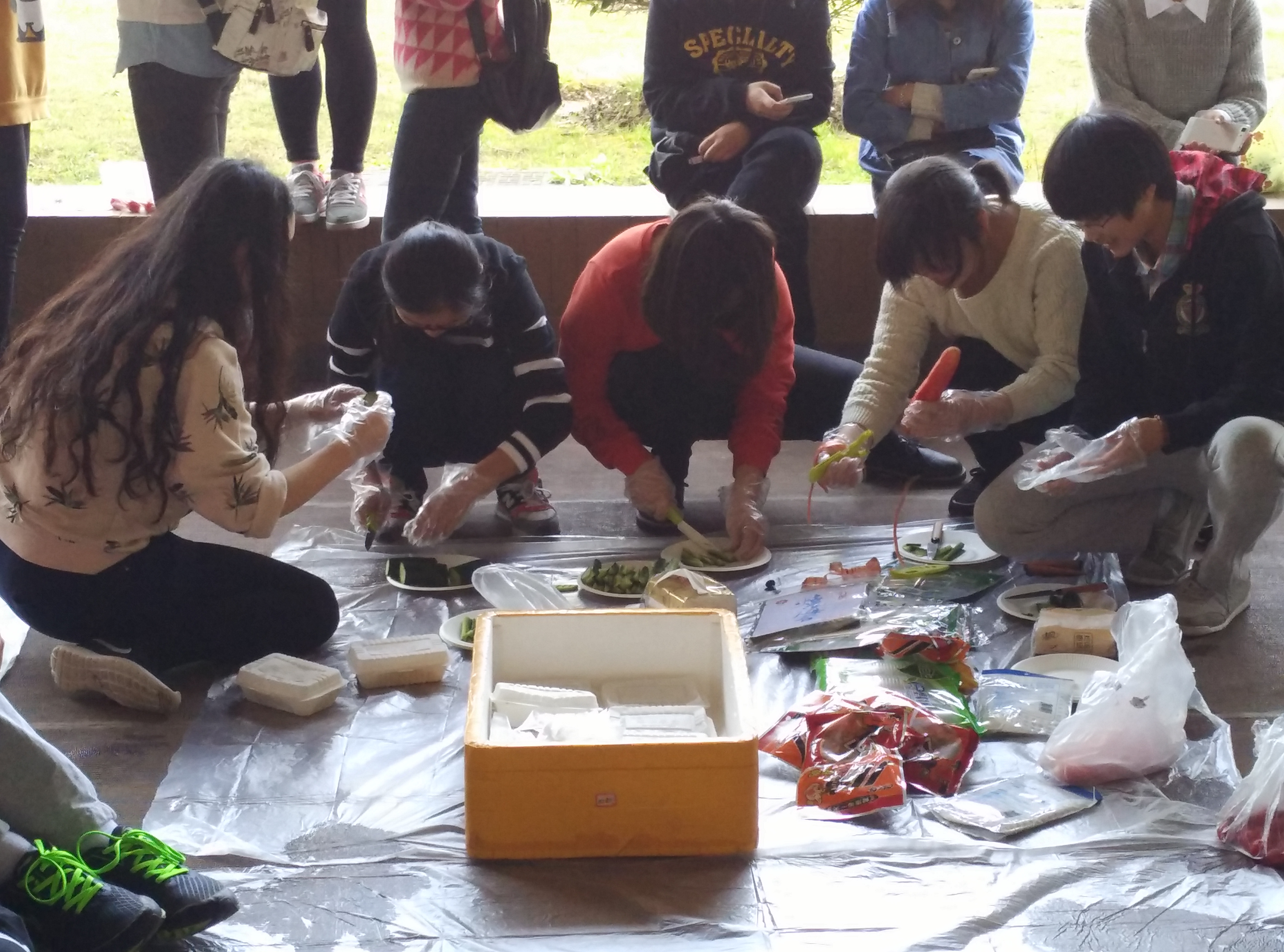 1C44236C05E0CB01E0D456D2979B7B4E 1C44236C05E0CB01E0D456D2979B7B4E